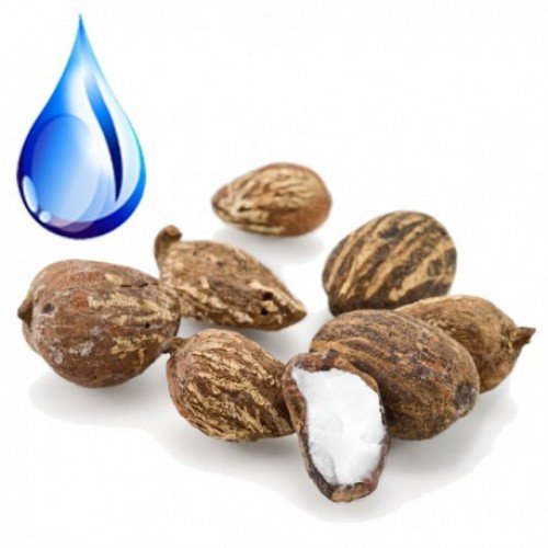 Масло Ши (каритэ) водорастворимое  