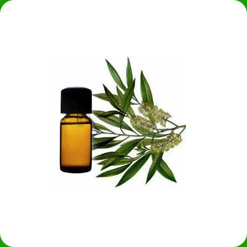 Эфирное масло Кайепута  