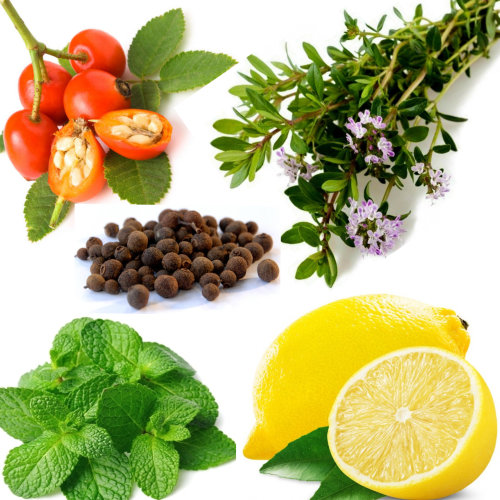 Купаж №82 СО2 экстрактов для дневного крема Фитофотозащита (водорастворимый)  