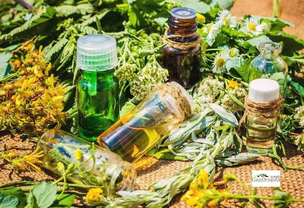 РАФИНИРОВАННЫЕ МАСЛА